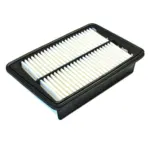 Luftfilter, 2.4-L., TJ, 02-06