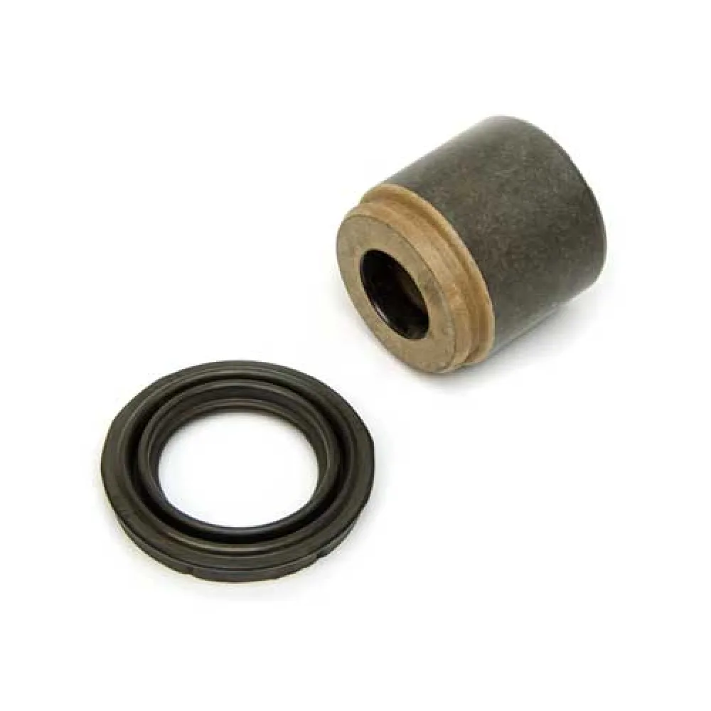 Dichtsatz Bremssattel Hinterachse