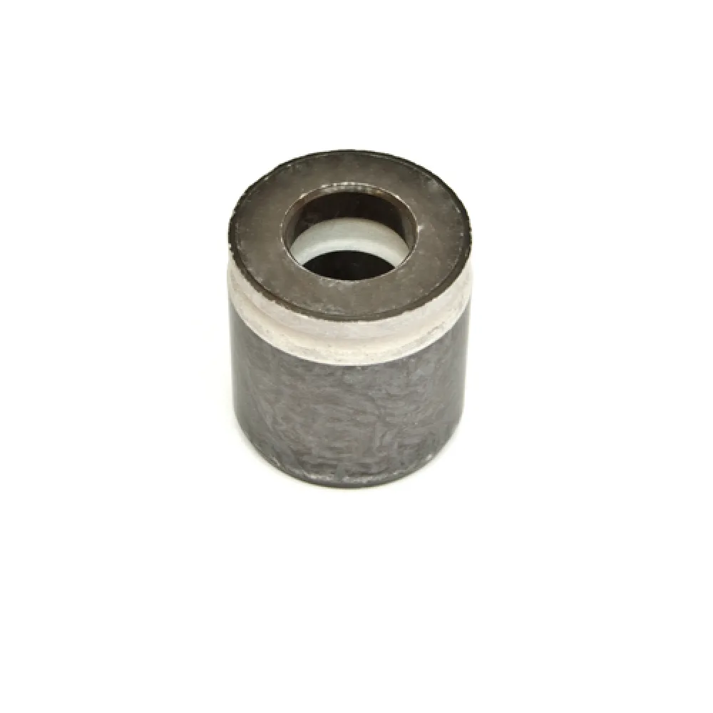 Bremskolben hinten