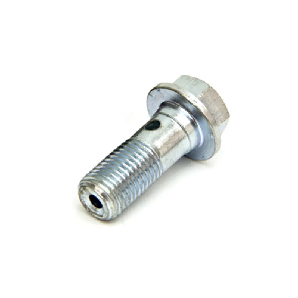Hohlschraube Bremssattel