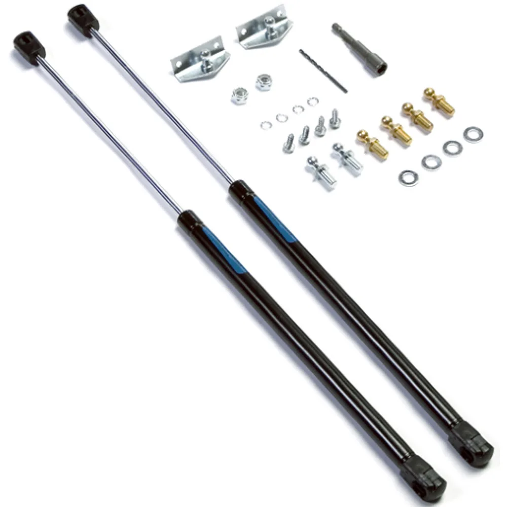 Motorhaubendämpfer Set