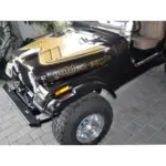Dekorset Golden Eagle AMC Jeep gold weiss CJ: 77 - 80