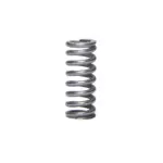 Feder Verteilergetriebe Dana 300