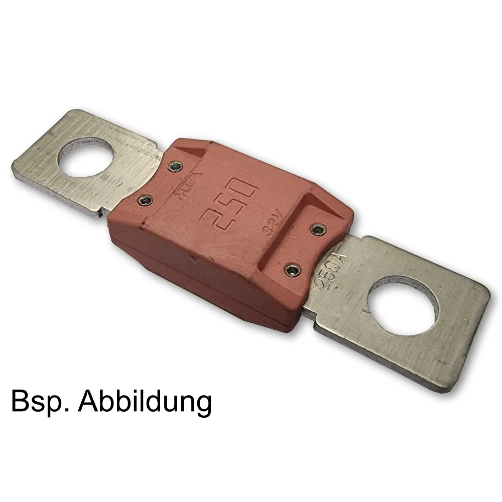Sno-Way Schmelzsicherung 250A