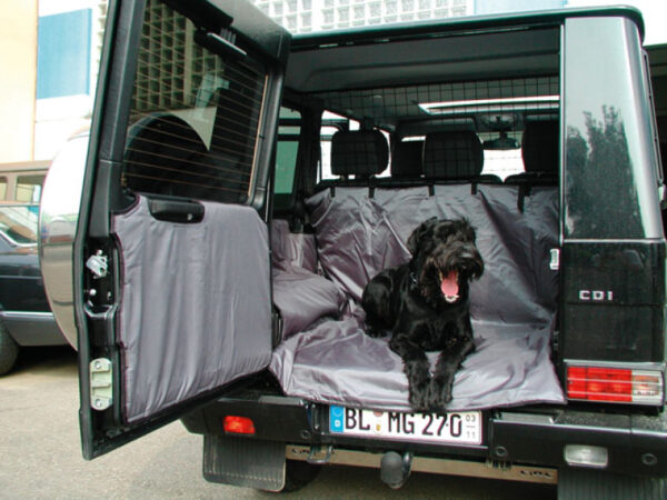 TAKLA Kofferraumverkleidung Discovery I