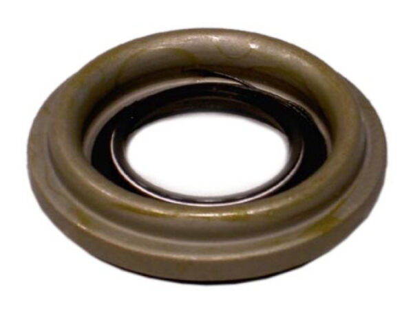 Simmerring Eingang Öl