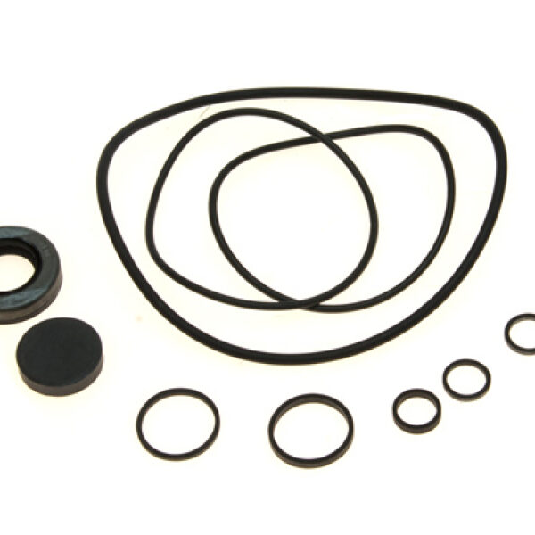 Dichtsatz  Servopumpe  Jeep CJ: 77 - 86