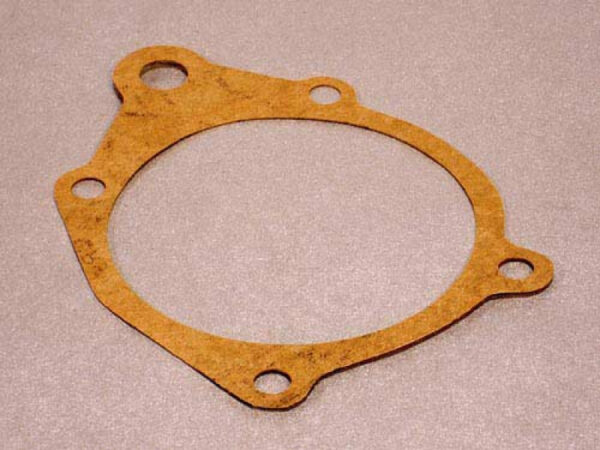 Wasserpumpendichtung, 2.5-L., 150cui, 83 -01