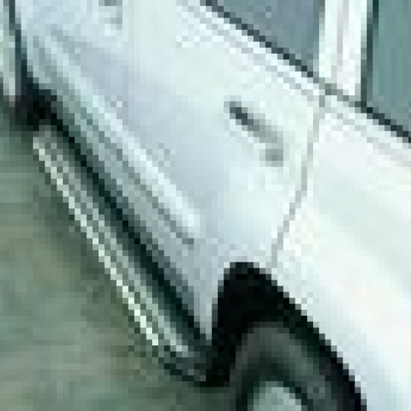 Seitliche Trittbretter (Satz)