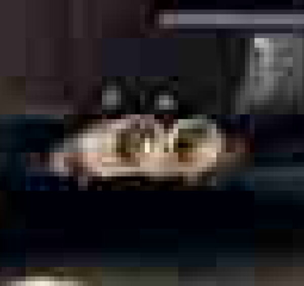 Sportauspuffanlage TJ  2 Rohr Optik