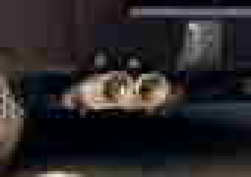 Sportauspuffanlage TJ 2 Rohr Optik