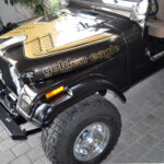 Dekorsets/ Aufkleber