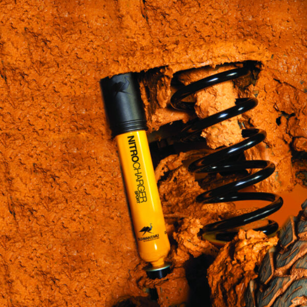 OME SPORT SHOCK Landcruiser 200, hinten