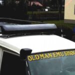 Spoiler für Dachträger 1120mm