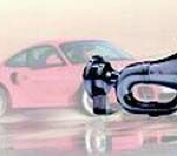 Mini - Max Truckhorn