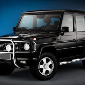 Frontbügel mit Nebenbügel G Typ 463