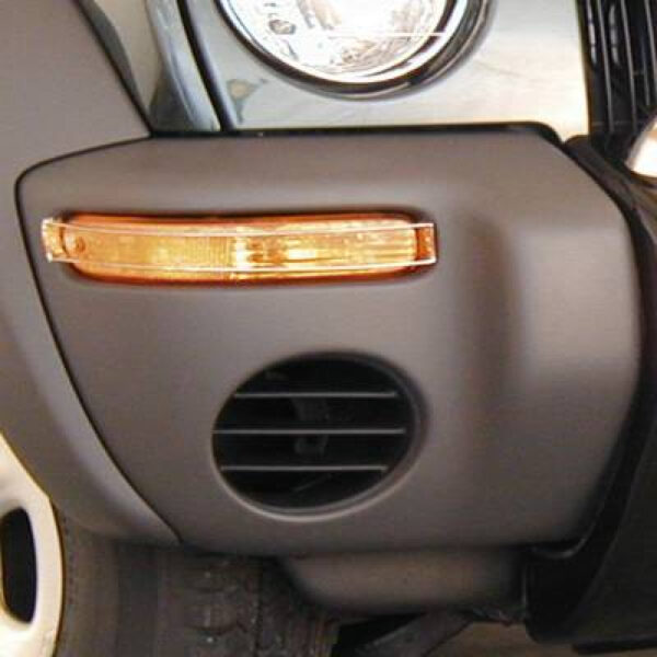 Blinkerschutzgitter Edelstahl KJ