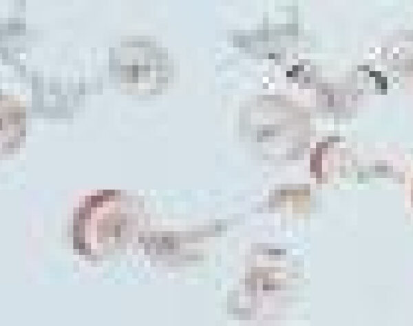 Manuelle AVM-Freilaufnaben SJ 410/413