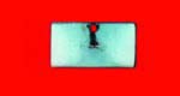 Handschuhfachklappe Edelstahl CJ