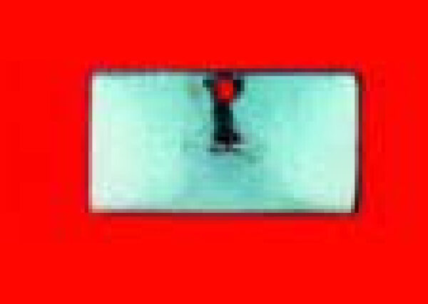 Handschuhfachklappe Edelstahl CJ